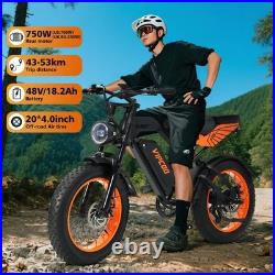 Electric Bike 750W Motor 48V 18.2Ah Fat Tire E-Bike 20x4.0 All Terrain Adult