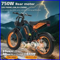 Electric Bike 750W Motor 48V 18.2Ah Fat Tire E-Bike 20x4.0 All Terrain Adult