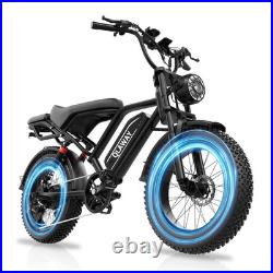 Electric Bike Adults 20 X4.0 Fat Tire, 48v 18AH Off-Road E Bike, E-Mountain Bike