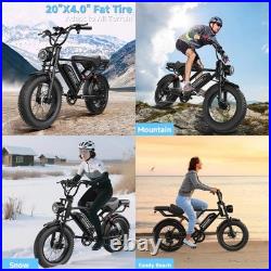 Electric Bike Adults 20 X4.0 Fat Tire, 48v 18AH Off-Road E Bike, E-Mountain Bike