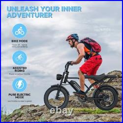 Electric Bike Adults 20 X4.0 Fat Tire, 48v 18AH Off-Road E Bike, E-Mountain Bike