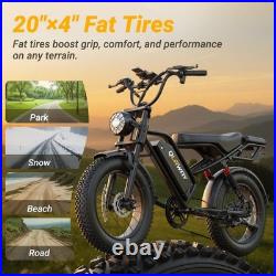 Electric Bike Adults 20 X4.0 Fat Tire, 48v 18AH Off-Road E Bike, E-Mountain Bike