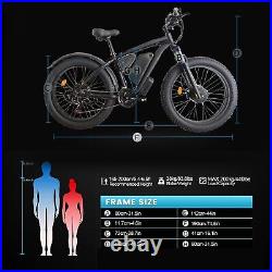 Electric Bike Mountain Bike Dual Motor 23Ah Fat Tyre Electric Bike Mountain Bike Dual Motor 23Ah Fat Tyre