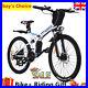 Electric_Bikes_26_inch_E_Bike_Electric_Mountain_Bike_Folding_Bicycle_Big_Motor_01_pyk