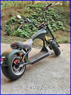 Electric Citycoco scooter Harley style 2000W motor 60V 20Ah Battery E Bike
