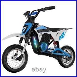 Electric Motorcycle EV12M Evercross 300W Motor 36V/4AH E Bike Best Gift for Kids