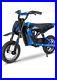 Electric_Motorcycle_EV12M_Evercross_Logo_300W_Motor_36V_4AH_E_Bike_for_Kid_01_ksqd