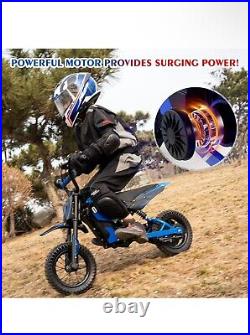 Electric Motorcycle EV12M Evercross Logo 300W Motor 36V/4AH E Bike for Kid