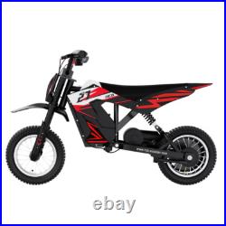 Electric Motorcycle RCB 300W Motor 36V/4AH E Dirt Bike Best Gift for Kids