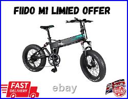 FIIDO M1Electric Folding Bike 20 500W Motor