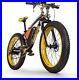 Fat_tyre_electric_mountain_bike_Powerful_1000w_rear_hub_motor_17amp_48v_e_Bike_01_eog