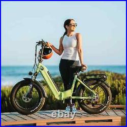 Folding electric bicycle Bafang500W motor 48V25AH large battery