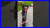 Forsale_5000w_Ebike_DM_Me_For_Details_Ebike_Electricbike_Bikesforsale_Super73_Surron_Ebiker_01_jp