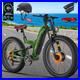 Freesky_M530_Dual_Motor_Electric_Mountain_Bicycle_48V_30Ah_26in_Fat_Tire_E_Bike_01_feak
