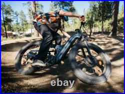 Freesky M530 Dual Motor Electric Mountain Bicycle 48V 30Ah 26in Fat Tire E-Bike