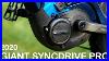 Giant_Syncdrive_Pro_2020_Ebike_Motor_Review_01_uyz