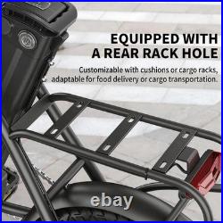 Hidoes C5 Electric Bike 36V 10.4AH 250W Motor Pedal Assist E-Bike