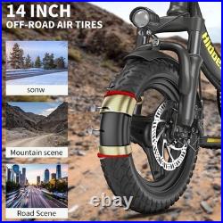 Hidoes C5 Electric Bike 36V 10.4AH 250W Motor Pedal Assist E-Bike