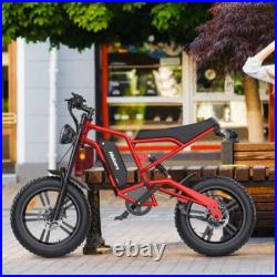 Hidoes Fat Tyre Mountain Electric Bicycle 250W Motor 48V 15.6Ah eBike for Adults Hidoes Fat Tyre Mountain Electric Bicycle 250W Motor 48V 15.6Ah eBike for Adults