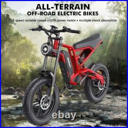 Hidoes Fat Tyre Mountain Electric Bicycle 250W Motor 48V 15.6Ah eBike for Adults Hidoes Fat Tyre Mountain Electric Bicycle 250W Motor 48V 15.6Ah eBike for Adults