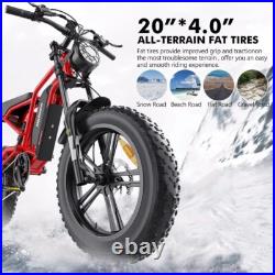 Hidoes Fat Tyre Mountain Electric Bicycle 250W Motor 48V 15.6Ah eBike for Adults Hidoes Fat Tyre Mountain Electric Bicycle 250W Motor 48V 15.6Ah eBike for Adults