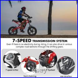Hidoes Fat Tyre Mountain Electric Bicycle 250W Motor 48V 15.6Ah eBike for Adults Hidoes Fat Tyre Mountain Electric Bicycle 250W Motor 48V 15.6Ah eBike for Adults