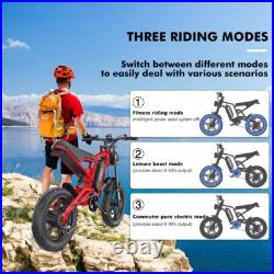 Hidoes Fat Tyre Mountain Electric Bicycle 250W Motor 48V 15.6Ah eBike for Adults Hidoes Fat Tyre Mountain Electric Bicycle 250W Motor 48V 15.6Ah eBike for Adults