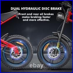 Hidoes Fat Tyre Mountain Electric Bicycle 250W Motor 48V 15.6Ah eBike for Adults Hidoes Fat Tyre Mountain Electric Bicycle 250W Motor 48V 15.6Ah eBike for Adults