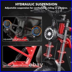 Hidoes Fat Tyre Mountain Electric Bicycle 250W Motor 48V 15.6Ah eBike for Adults Hidoes Fat Tyre Mountain Electric Bicycle 250W Motor 48V 15.6Ah eBike for Adults
