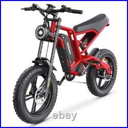 Hidoes Fat Tyre Mountain Electric Bicycle 250W Motor 48V 15.6Ah eBike for Adults Hidoes Fat Tyre Mountain Electric Bicycle 250W Motor 48V 15.6Ah eBike for Adults