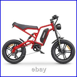 Hidoes Fat Tyre Mountain Electric Bicycle 250W Motor 48V 15.6Ah eBike for Adults Hidoes Fat Tyre Mountain Electric Bicycle 250W Motor 48V 15.6Ah eBike for Adults