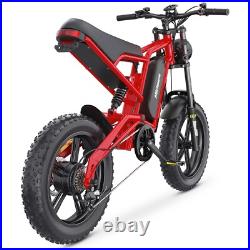 Hidoes Fat Tyre Mountain Electric Bicycle 250W Motor 48V 15.6Ah eBike for Adults Hidoes Fat Tyre Mountain Electric Bicycle 250W Motor 48V 15.6Ah eBike for Adults