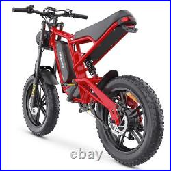 Hidoes Fat Tyre Mountain Electric Bicycle 250W Motor 48V 15.6Ah eBike for Adults Hidoes Fat Tyre Mountain Electric Bicycle 250W Motor 48V 15.6Ah eBike for Adults