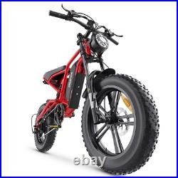 Hidoes Fat Tyre Mountain Electric Bicycle 250W Motor 48V 15.6Ah eBike for Adults Hidoes Fat Tyre Mountain Electric Bicycle 250W Motor 48V 15.6Ah eBike for Adults