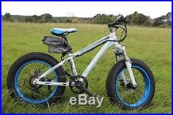 High Quality 20 Fat Tyres Electric Bike / Snow Bike / Mountain Bike For Sale