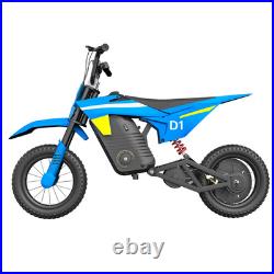 KIDDOWE Electric Motorcycle LED 300W Motor 36V/4AH E Dirt Bike Best Gift for Kid