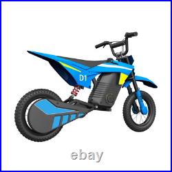 KIDDOWE Electric Motorcycle LED 300W Motor 36V/4AH E Dirt Bike Best Gift for Kid