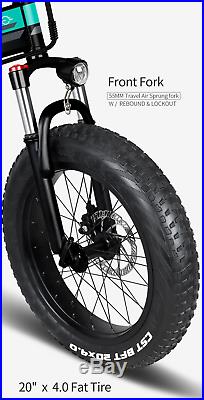 M1 Folding Electric Bike 20 In Fat Tires 250W Motor 7 Speeds 12.5A