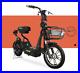 New_Electric_Bike_48V_Battery_Capacity_220W_Motor_Power_Twist_Throttle_E_Bike_01_hr
