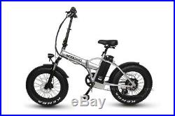 Our fabulous Endurable Fat Tyre Electric Bike, With 350with48v Motor
