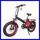 Our_fabulous_Fat_Tyre_Foldable_Electric_Bike_With_1000with48v_Motor_01_hrjj