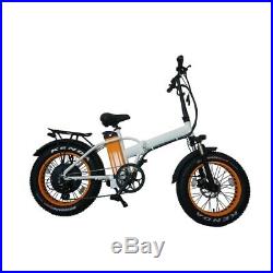 Our fabulous Fat Tyre Foldable Electric Bike, With 1000with48v Motor