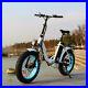 Our_fabulous_Fat_Tyre_Foldable_Electric_Bike_With_500with48v_Motor_01_ao