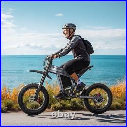 Powerful Electric Dirt Bike 20 Mountain E-Bike 60V 30AH Fatbike for Adventures
