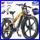 Randride_YX80M_Electric_Bike_48V_20AH_264_0_Dual_Motor_Mountain_E_Bike_7Speed_01_okwz