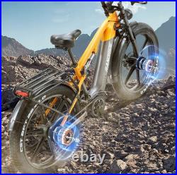 Randride YX80M Electric Bike 48V 20AH 264.0'' Dual Motor Mountain E-Bike 7Speed