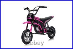 Ride on 24V Kids Electric bike 350W Motors with Twist Grip Throttle-Diff Colours