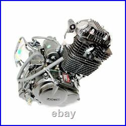 Shineray 250cc Electric Start Air Cooled Manal Clutch Engine Motor PIT DIRT BIKE