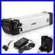 Silver_fish_2_pin_36V_10Ah_ebike_Lithium_Battery_Electric_Bicycle_350W_250W_500W_01_qcdr