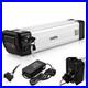 Silver_fish_2_pin_36V_10Ah_ebike_Lithuim_Battery_Electric_Bicycle_350W_250W_500W_01_oc